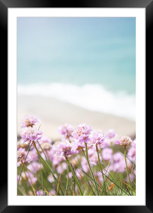 Cornwall Sea Pinks Framed Mounted Print by Graham Custance