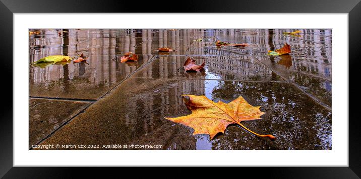 Leaf Litter Framed Mounted Print by Martin Cox