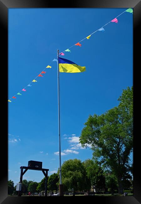 Ukranian Flag flies in Christchurch Harbour Framed Print by Joyce Storey