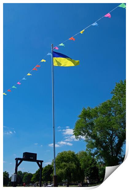 Ukranian Flag flies in Christchurch Harbour Print by Joyce Storey