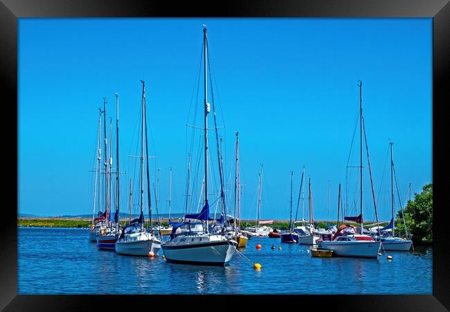 Masts lined up Framed Print by Joyce Storey