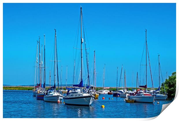 Masts lined up Print by Joyce Storey