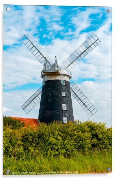 Burnham Overy Windmill | Norfolk Acrylic by Adam Cooke