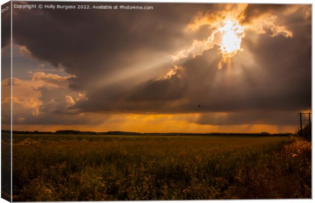 Sunsetting over a Corn field  Canvas Print by Holly Burgess