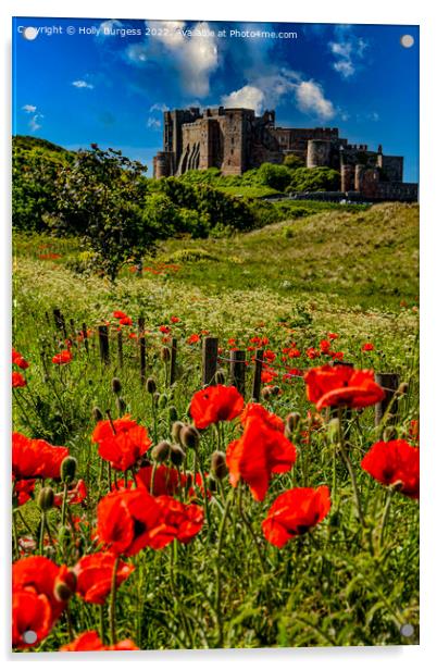 Bamburgh Castle: A Poppy Field Panorama Acrylic by Holly Burgess