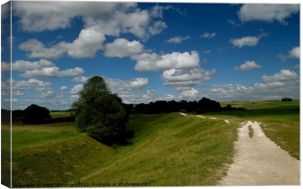 The path round Avebury stone circle Canvas Print by Peter Wiseman