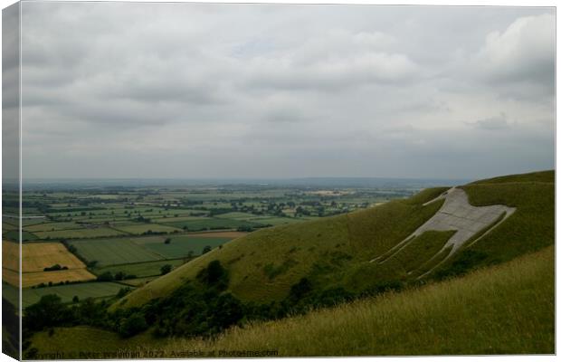 The Westbury white horse Canvas Print by Peter Wiseman