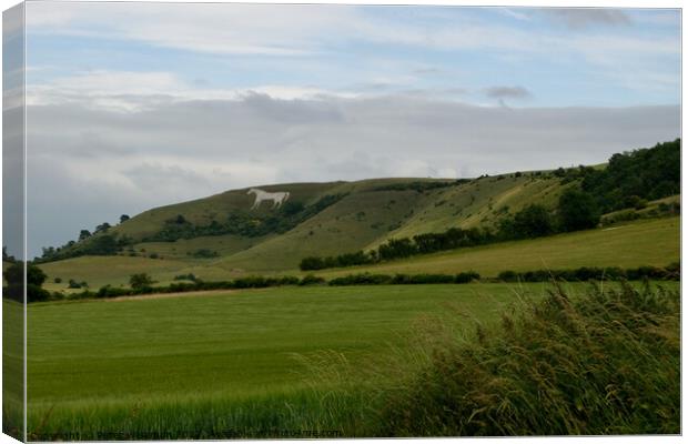 The Westbury white horse Canvas Print by Peter Wiseman