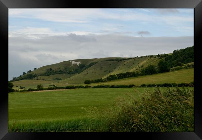 The Westbury white horse Framed Print by Peter Wiseman