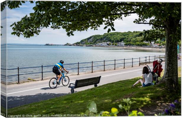 Coastal path from Swansea to Mumbles. Canvas Print by Chris North