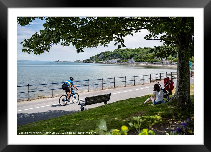 Coastal path from Swansea to Mumbles. Framed Mounted Print by Chris North