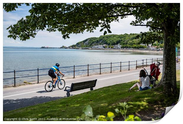 Coastal path from Swansea to Mumbles. Print by Chris North