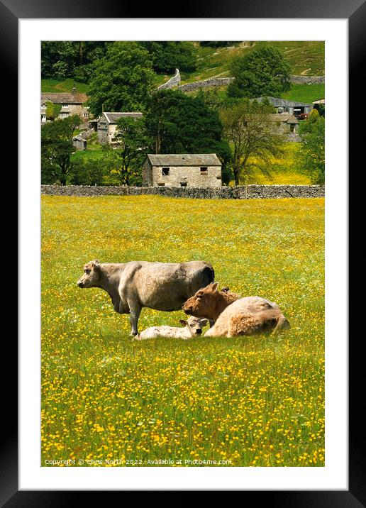 Swaledale in North Yorkshire Framed Mounted Print by Chris North