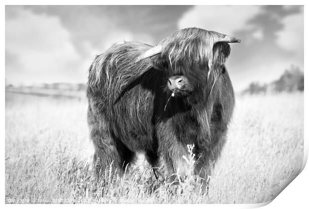 Highland cow portrait black and white Print by Simon Bratt LRPS