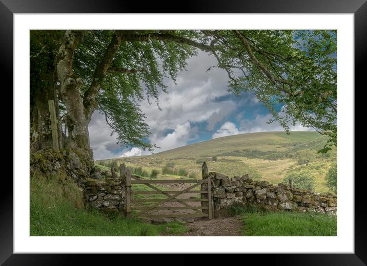 The path to Dartmoor Framed Mounted Print by Jo Sowden
