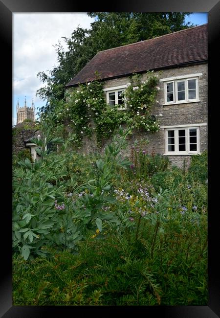 Cottage garden in Mells in Somerset Framed Print by Peter Wiseman