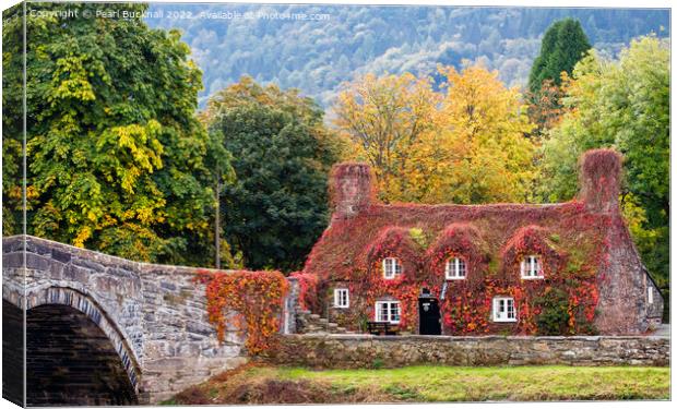 Llanrwst Cottage Tearooms in Autumn Conwy Valley Canvas Print by Pearl Bucknall
