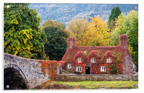 Llanrwst Cottage Tearooms in Autumn Conwy Valley Acrylic by Pearl Bucknall