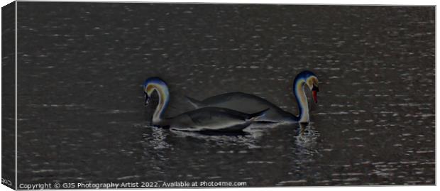 Swans Solorized  Canvas Print by GJS Photography Artist