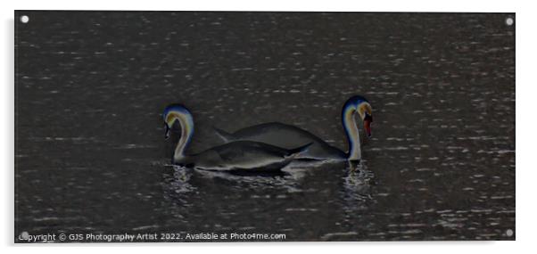 Swans Solorized  Acrylic by GJS Photography Artist