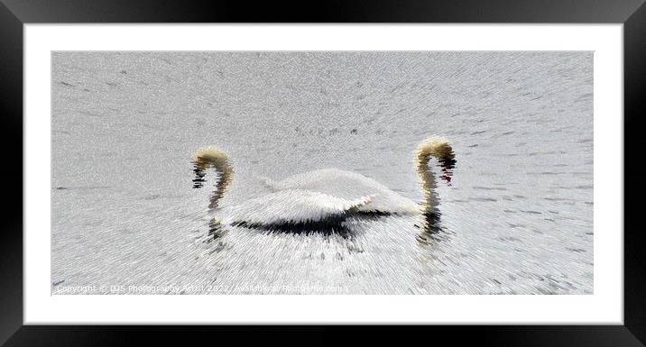 Swans Extrude Framed Mounted Print by GJS Photography Artist