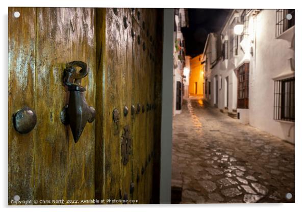 Rustic Spanish door. Acrylic by Chris North