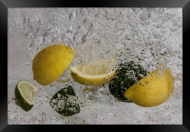 lemon and limes splashing about Framed Print by kathy white