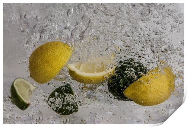 lemon and limes splashing about Print by kathy white