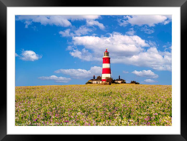Happisburgh Lighthouse and Cottages Norfolk  Framed Mounted Print by Jim Key