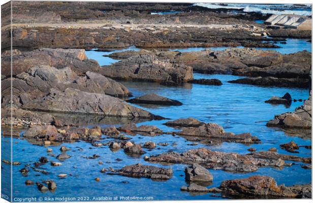 Rocks, Green Point, Cape Town, South Africa  Canvas Print by Rika Hodgson
