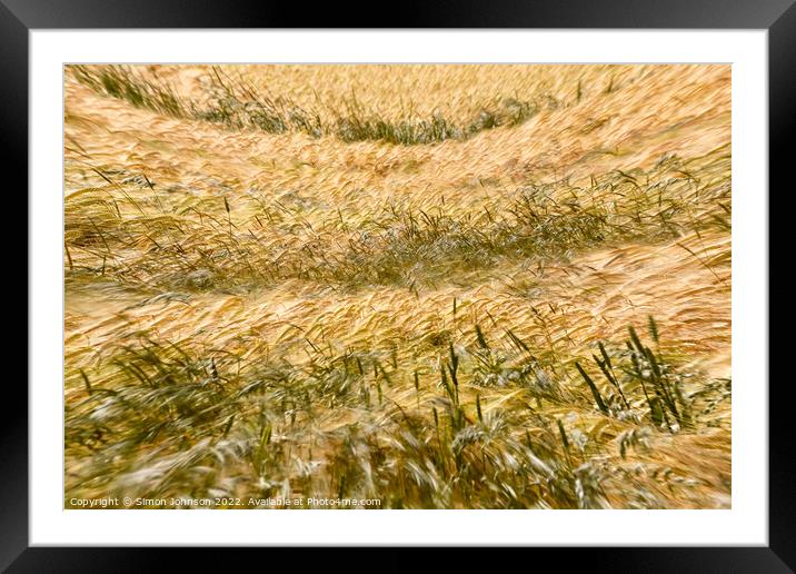 wind blown wheat Framed Mounted Print by Simon Johnson