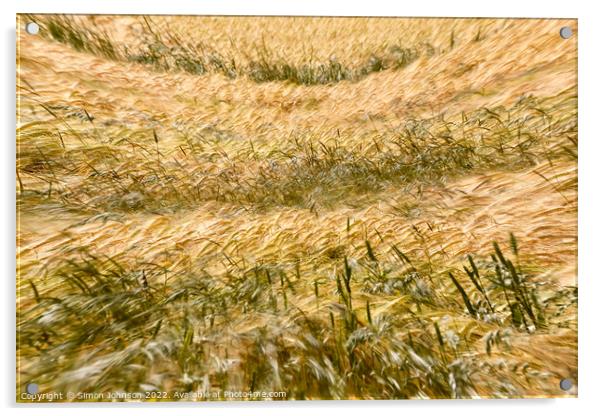 wind blown wheat Acrylic by Simon Johnson