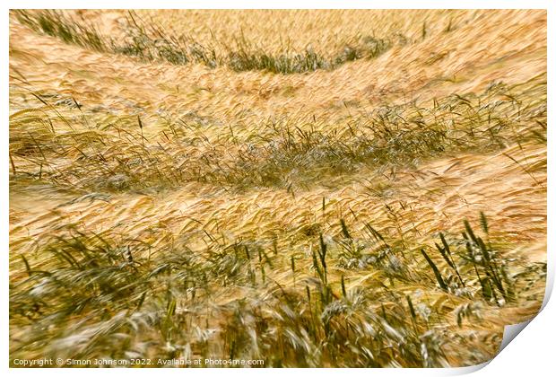 wind blown wheat Print by Simon Johnson
