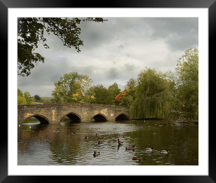 Bakewell Bridge Framed Mounted Print by Angela Wallace