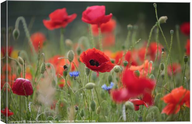 Poppy  flower Canvas Print by Simon Johnson