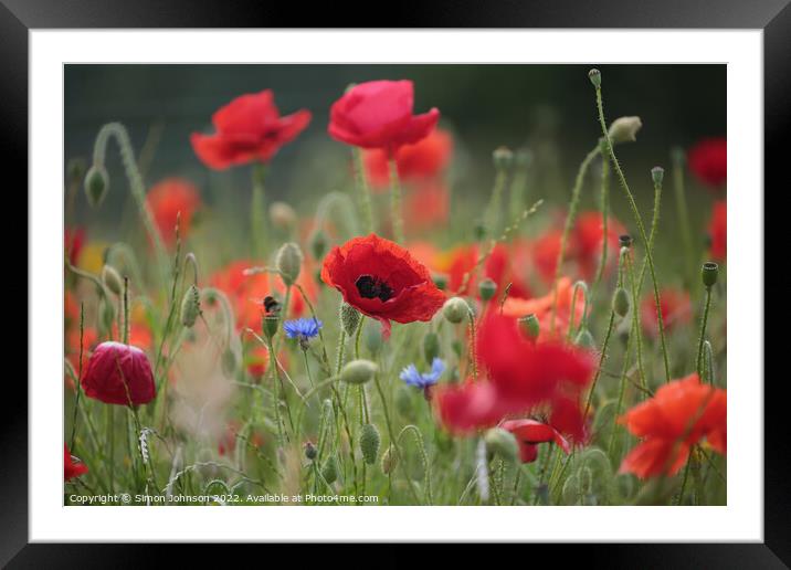 Poppy Flowers  Framed Mounted Print by Simon Johnson