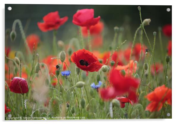 Poppy Flowers  Acrylic by Simon Johnson