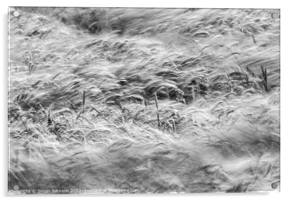 Wind blown wheat field  Acrylic by Simon Johnson