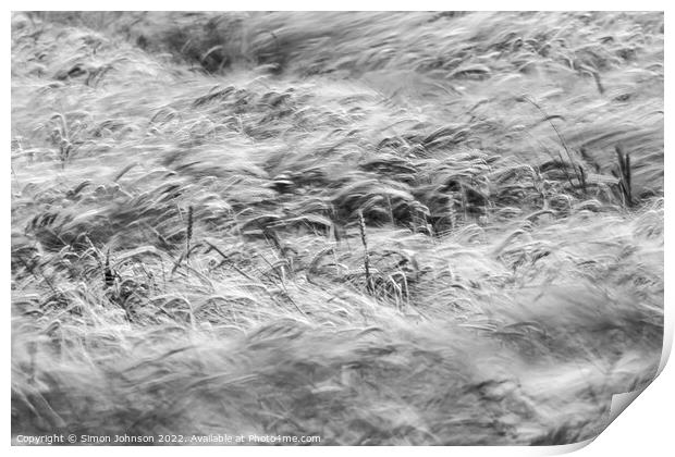 Wind blown wheat field  Print by Simon Johnson