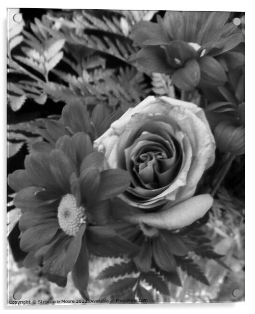 Daisies and rose Acrylic by Stephanie Moore