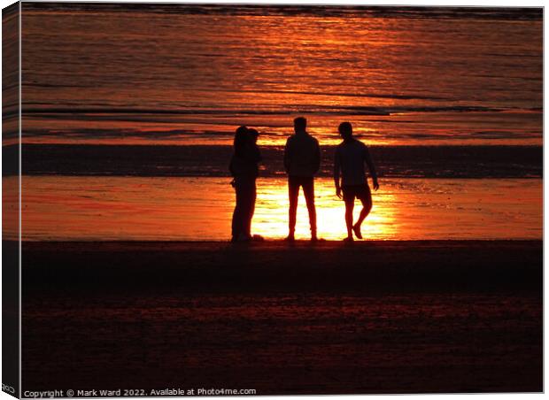 Silhouettes in The  Sunset Canvas Print by Mark Ward