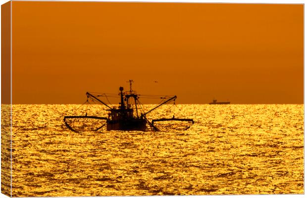 Bottom Trawler at Sunset Canvas Print by Arterra 