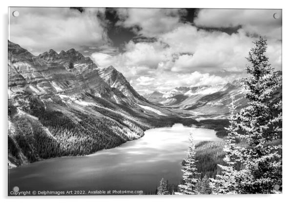 Canada. Peyto lake, Banff National Park Acrylic by Delphimages Art