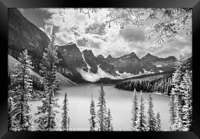 Canada. Moraine lake, black and white Framed Print by Delphimages Art