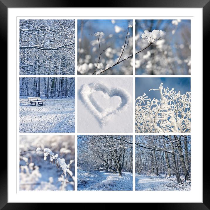 Winter landscapes and snow collage Framed Mounted Print by Delphimages Art