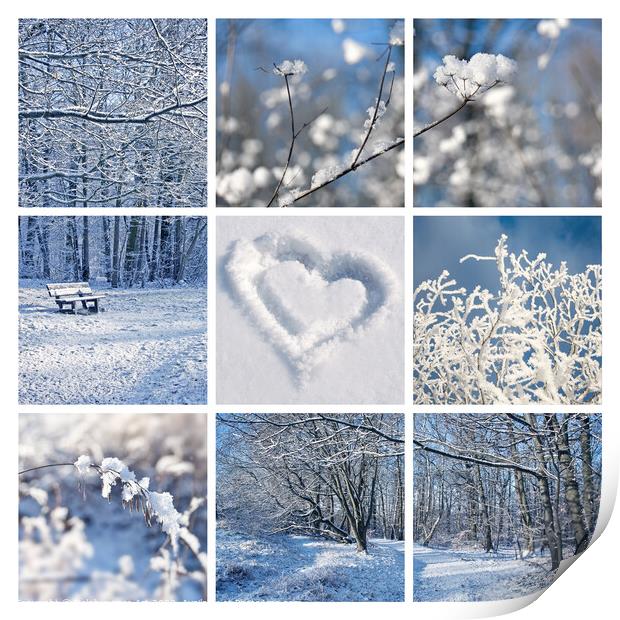 Winter landscapes and snow collage Print by Delphimages Art