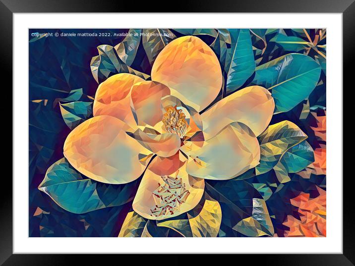 POLY ART on close-up of white flower of magnolia grandiflora Framed Mounted Print by daniele mattioda