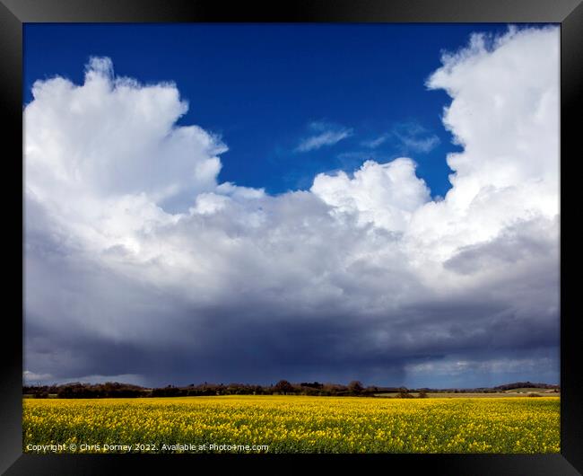 Clouds and Distant Rain Over a Field of Rapeseed in Norfolk, UK Framed Print by Chris Dorney
