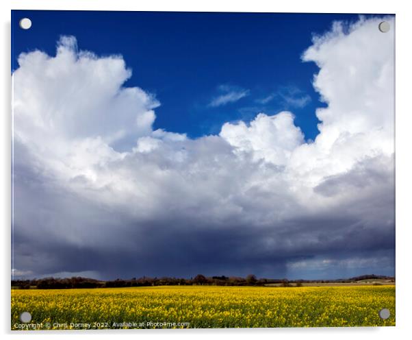 Clouds and Distant Rain Over a Field of Rapeseed in Norfolk, UK Acrylic by Chris Dorney