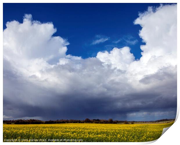 Clouds and Distant Rain Over a Field of Rapeseed in Norfolk, UK Print by Chris Dorney
